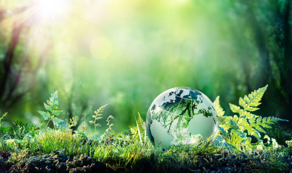 Corporate Social Responsibility mit impulsio